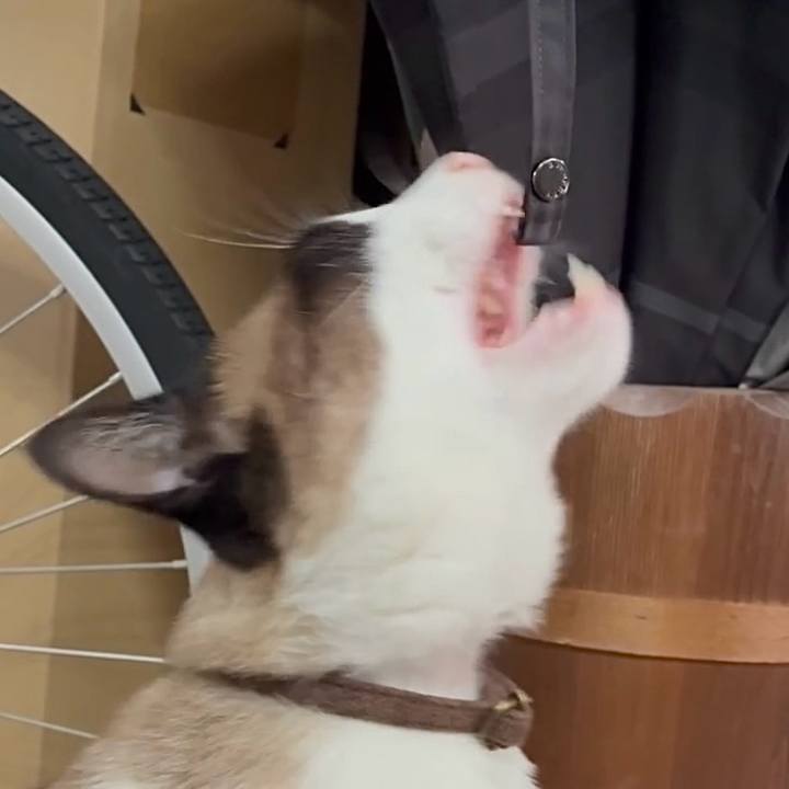 757538fd 860b 4ce5 8a71 0b9976751ecb 1751078616501