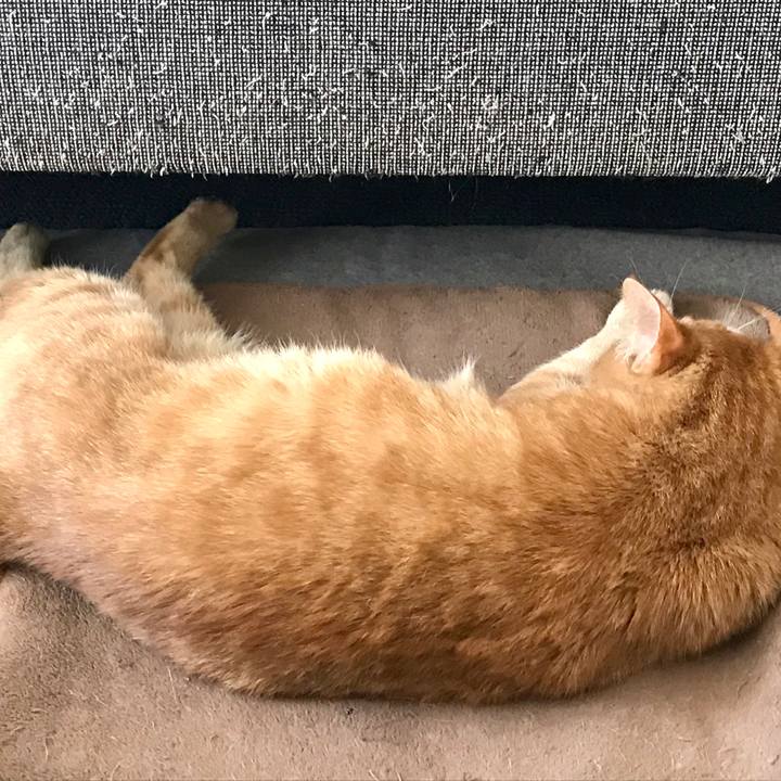 757565d9 49c1 42e8 931e be76554472df 1556417859114