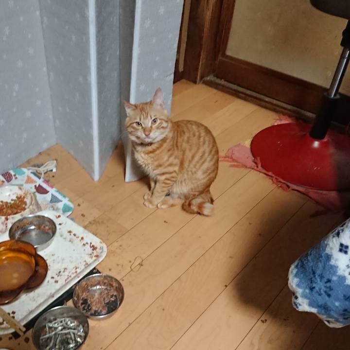 75759b6e 5306 4be1 bf67 014855726f4d 1643233215413