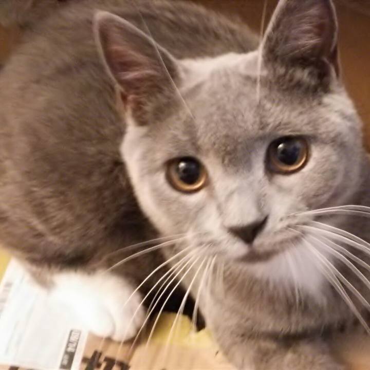 7575d858 a2be 4284 b126 1528bf391c99 1537759773897