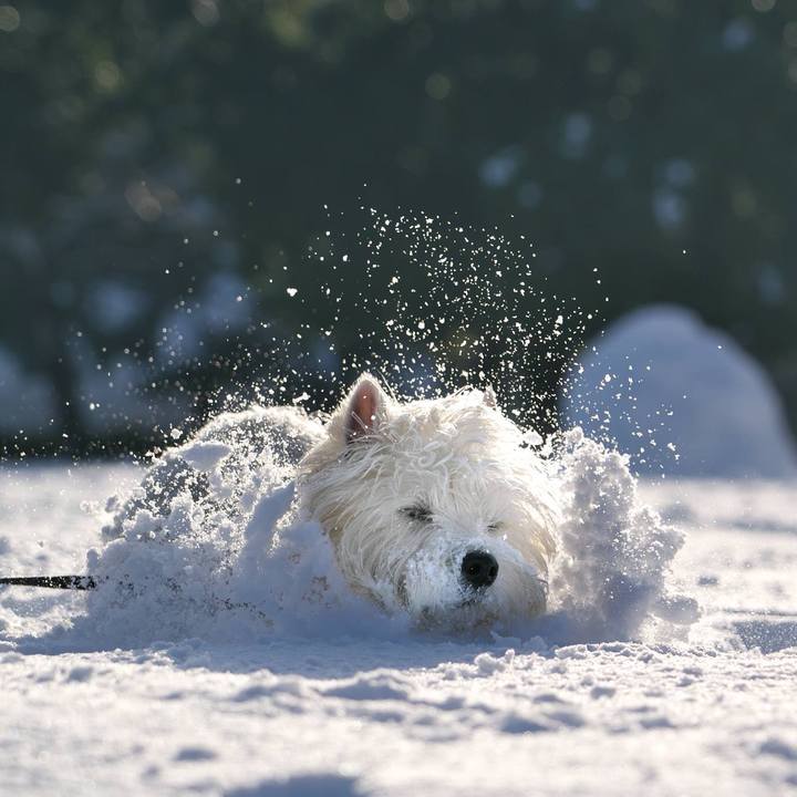 7575e635 a902 44b0 bc08 a63059be9f82 1516745943072