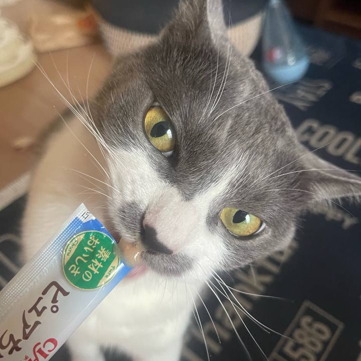 7575fb9e f151 41b4 afc1 201a5e091ead 1718260002414