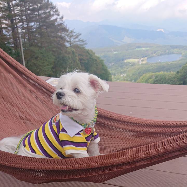 75760088 559c 49d5 86f4 84c1fb46f42a 1600734092624