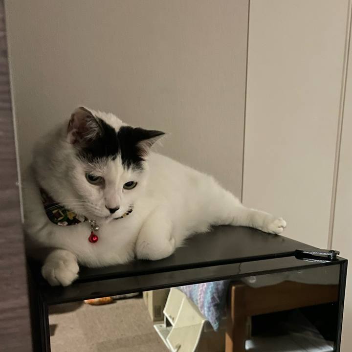 75763093 8c98 4dee 951e 52b2115ed832 1643203612219