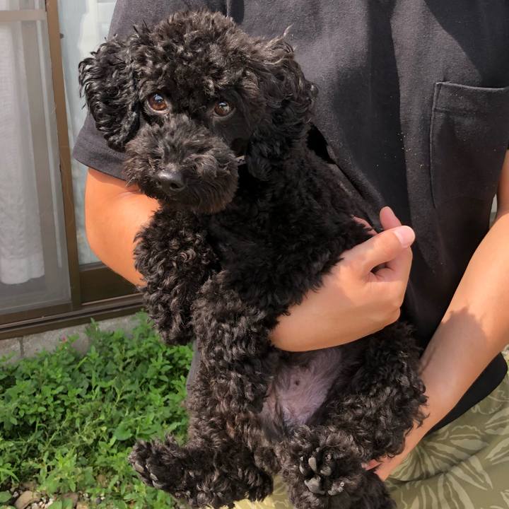 7576372d e07c 4840 8b03 b3202fff5a2a 1536380552569