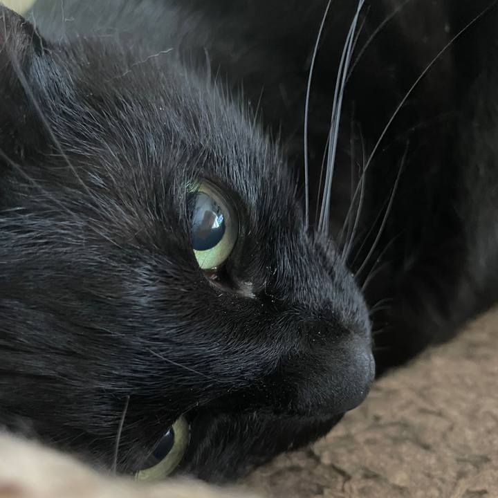 75765072 9f65 4390 b447 7380d9d2ed69 1682119595396