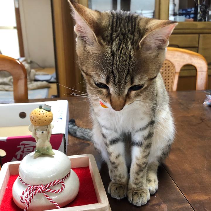 7576d3c7 ae2a 4a26 b7e2 86c2f852e196 1578446409176