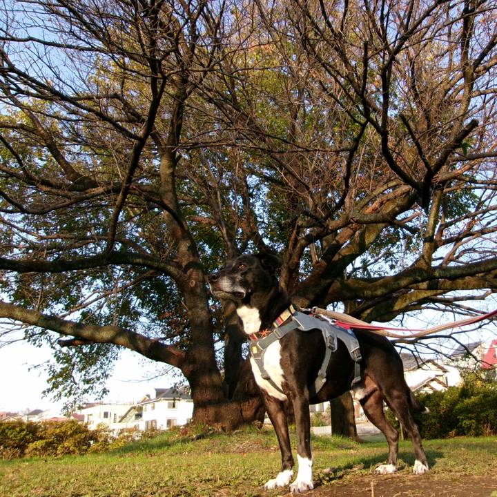 7576d5a2 5854 45d5 b052 d5387ee827f3 1733358212431