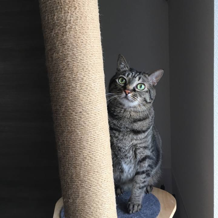 7576dcb6 03c0 42fe afb6 52ea1c8545d4 1593070114373