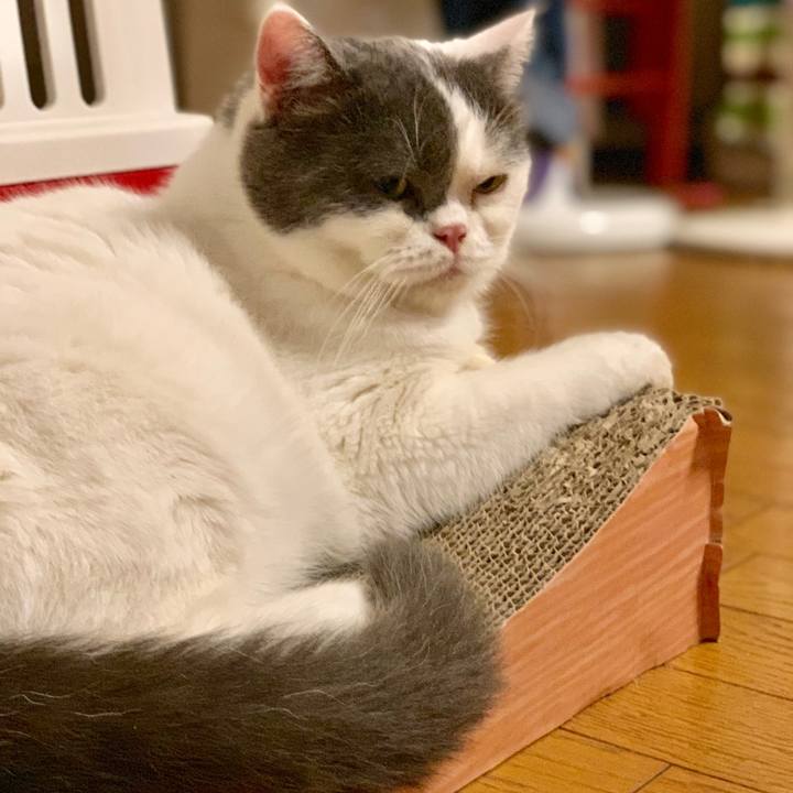 7576e5d1 eae5 442c 823c 0742ebc19e8a 1565665842234