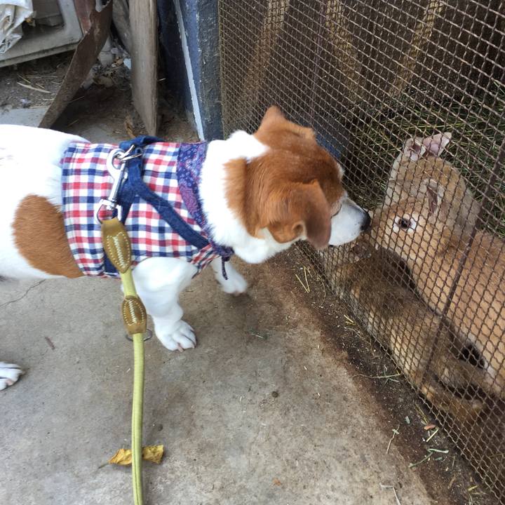 7576f48e acb9 4ecd 8869 5472516665f2 1530614695635