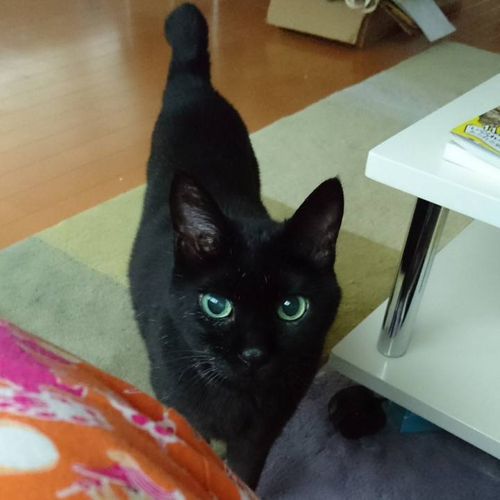 75771146 72c2 455b a1db 80a52c473f56 1534055689091