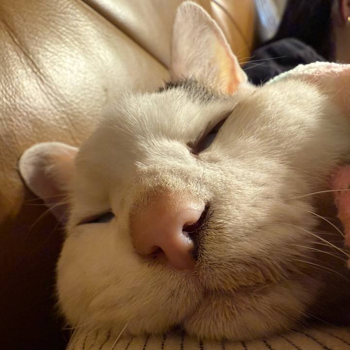 75773484 beb2 4dd0 bd44 ad2143ad25f1 1771746615595