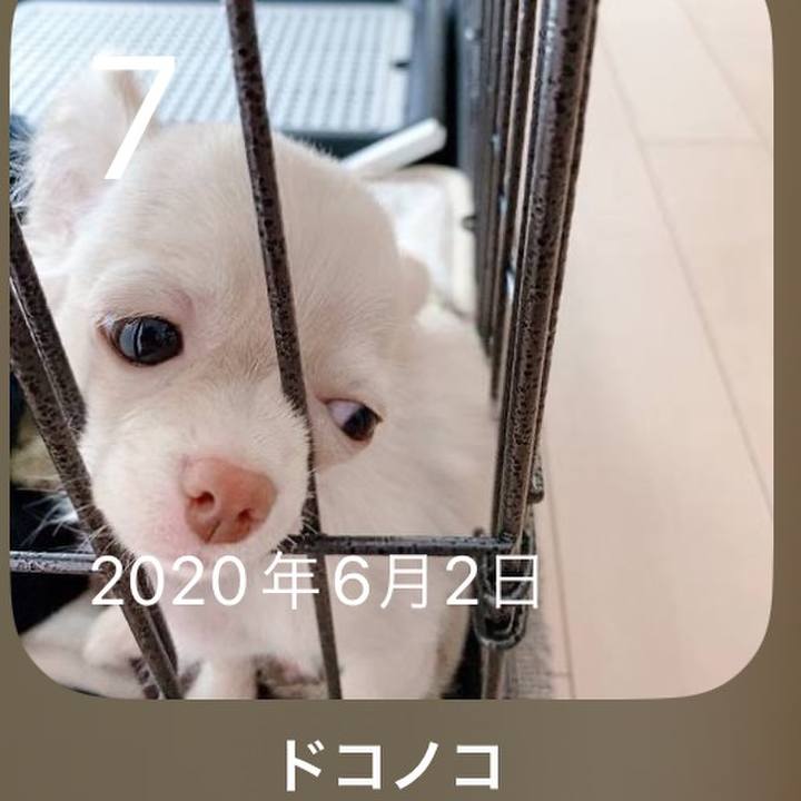 75775fb7 22a4 4d8d b8f3 f28a381af904 1686137403282