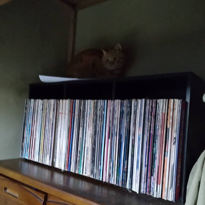 7577627e 6e20 4c58 96e2 f418cc9180ac 1667218225062