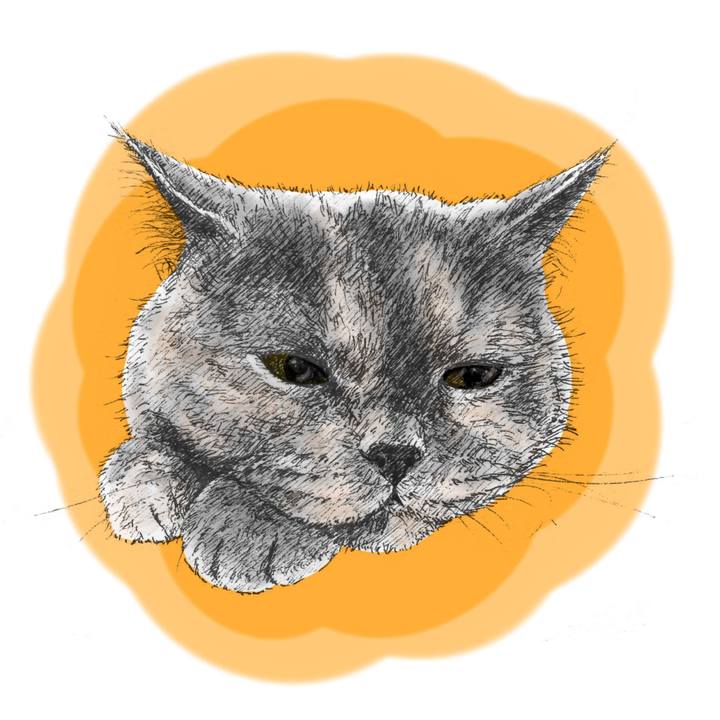 75778ba1 164e 4d4c 99d1 0ac4a711cea8 1567858578105