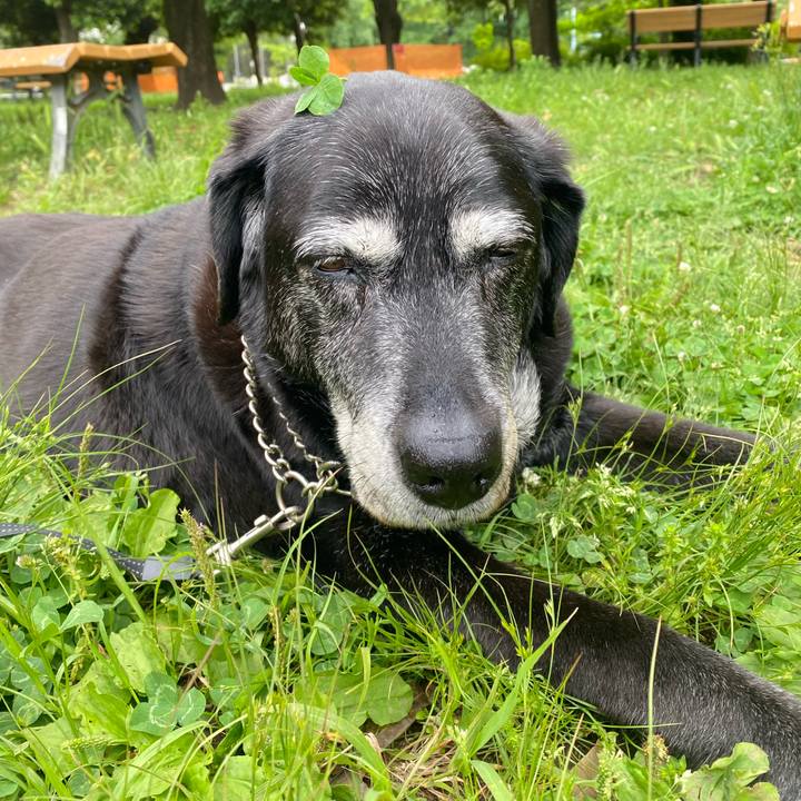 7577a1a4 4b63 4e7b 872c 5c568e05d43c 1747348811240