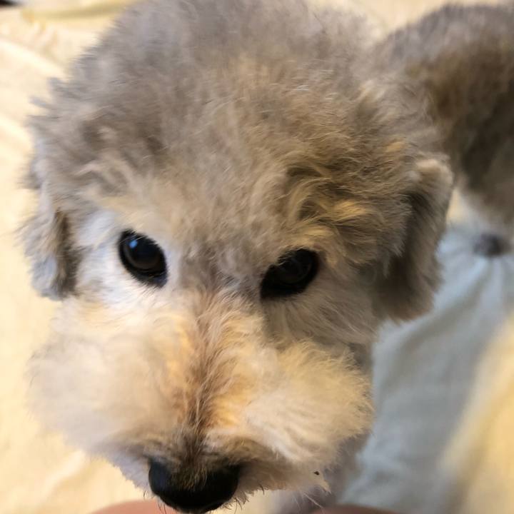 7577b151 3b27 40d1 ad6b 5d190c66260a 1536103539695