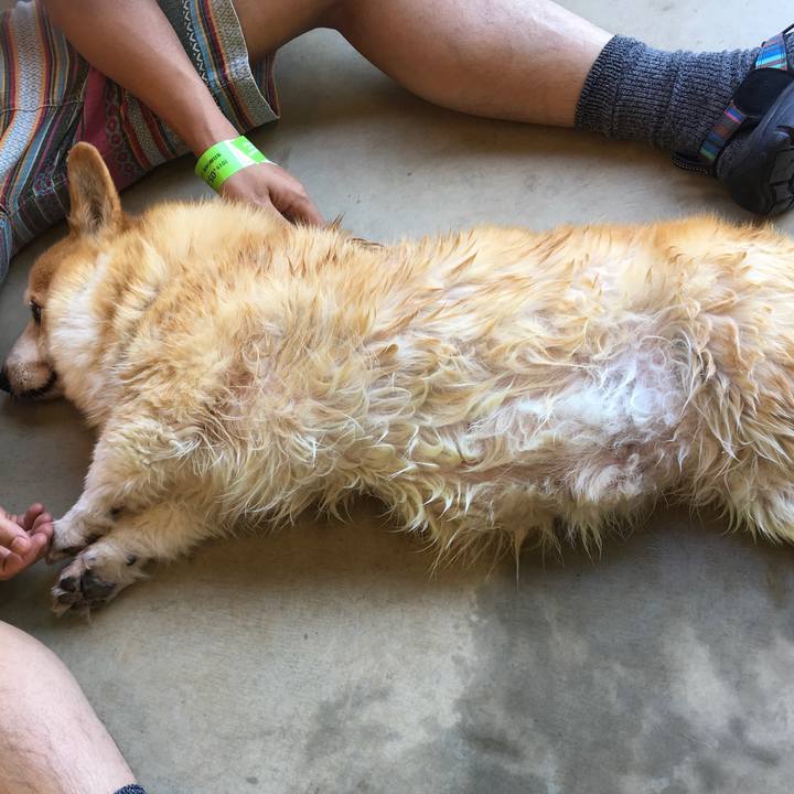 75785826 3cb9 4ccf b105 16dc49dad6f0 1558761805769