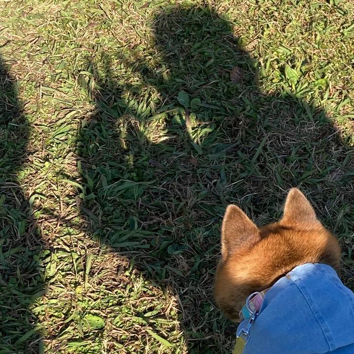 75786b3c fb10 40ba 8f57 efdc316397f8 1764316601736