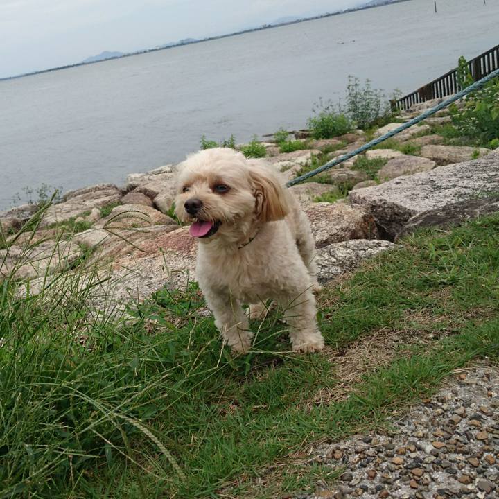 7578cde2 fe3e 42bd bcdb 5a4f310b6b28 1600576122067