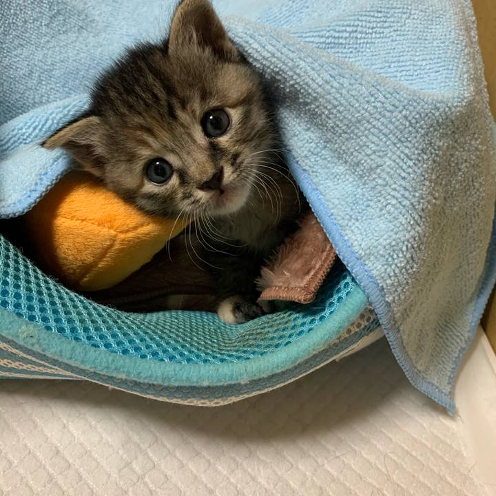 75790fce f243 40d7 bd56 a390e621a7ba 1587999414720