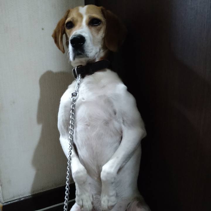 7579324c 5be7 4333 9f5e e52744b4443a 1626441956899