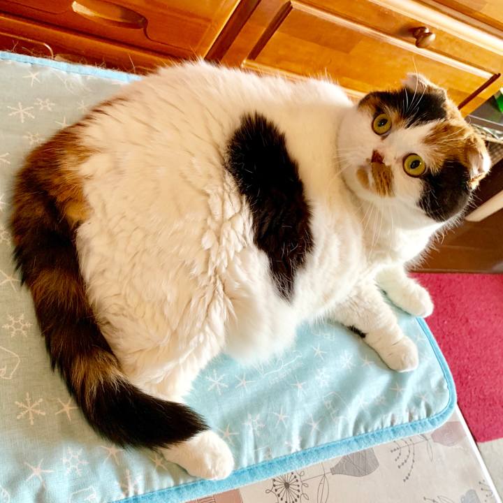 757937d6 a26b 44ef 95a9 92db767a9d11 1564302763235