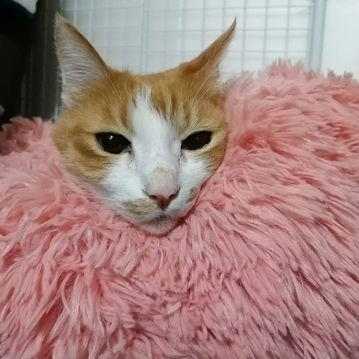 7579633e 29ff 4e55 99f0 f95d7854c081 1667854978314