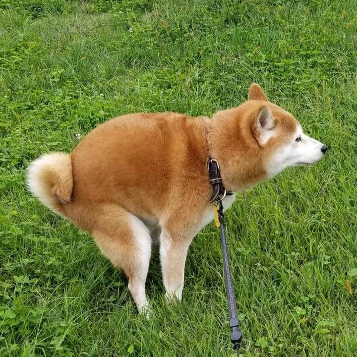 75797f9e fa39 45dd bba4 8d3d1d990e87 1601792652683