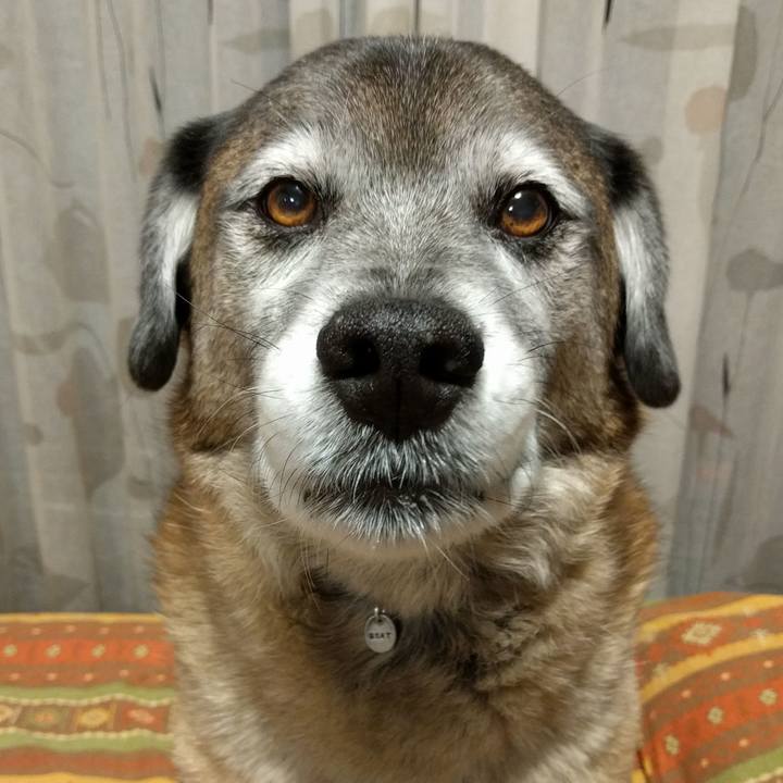 75798dfd 29c2 4dff a72d 14b3df28aae1 1551345220003