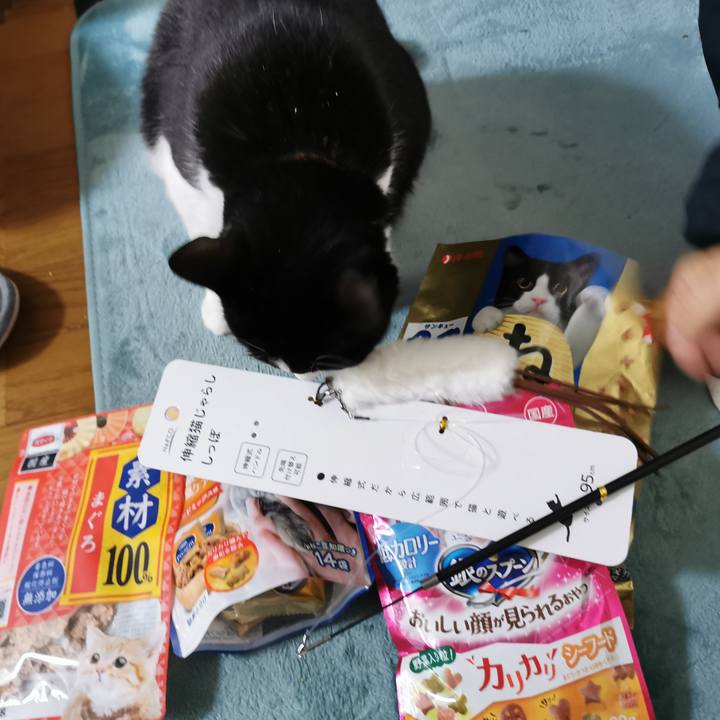 7579a1b0 8f7e 48cf b246 891d8fa5f456 1640418244608