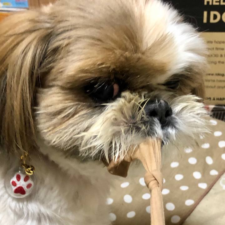 757a0a20 ee1f 4f53 93c1 1de817b98ac9 1582365316139