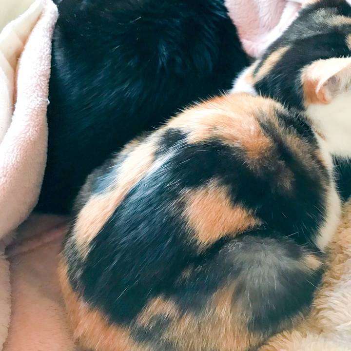 757a50fc fed0 48ac 94c6 5426243d0f9c 1514816704313