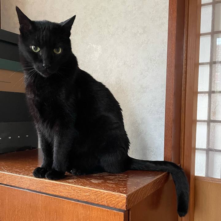 757a51b6 4456 4928 9fa8 349b46841a22 1618365165311