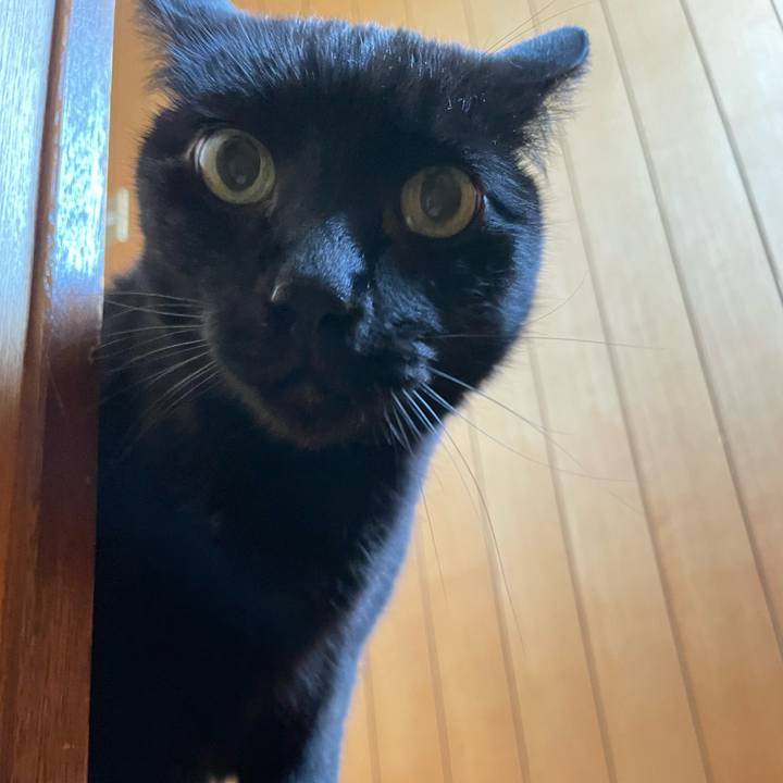 757a56f1 acf9 4ae9 bafc c1f50a631c47 1647049418716