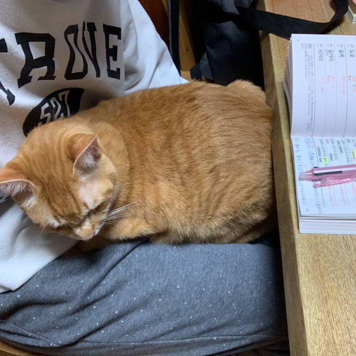 757a6202 32b0 4ea1 85a1 d0de98403d29 1586443967539