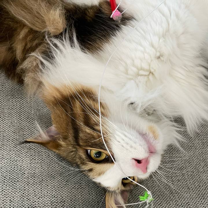 757a760e be9b 4477 8ca9 d6362a384be4 1648591304388