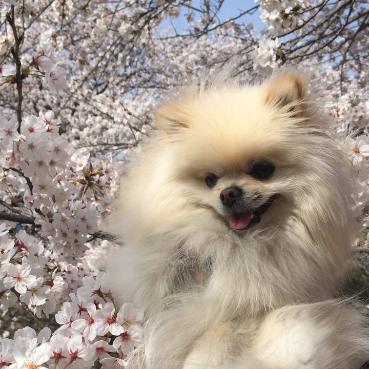 757a83ad 5404 4c4f a13e 182c3d0b53f1 1522459259660