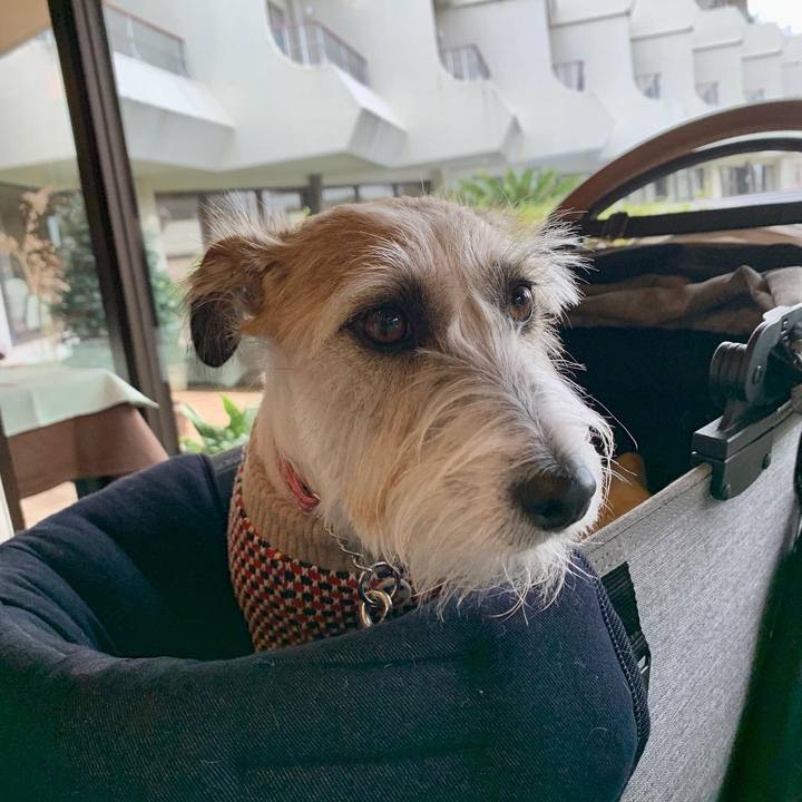 757a9f78 1003 4398 af7e 03d4eec59d5a 1669644811324