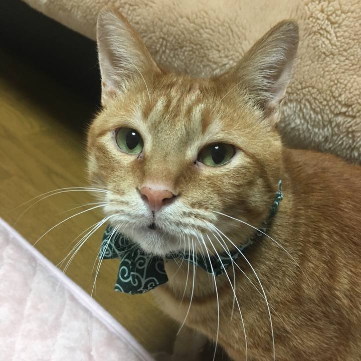 757aac37 540b 46b4 aa7c a5ed5478220c 1545340757132