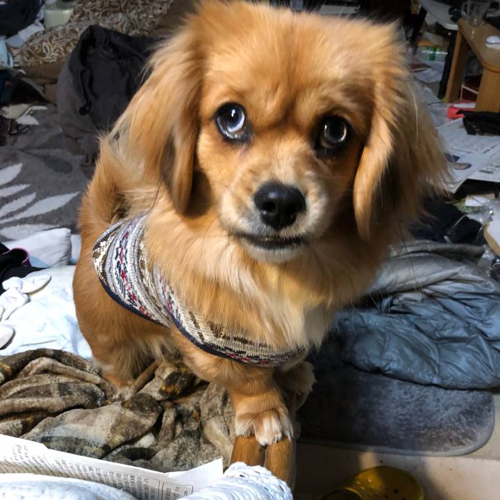 757ab32e 172c 4712 bc2a d0cd5839efec 1517004720167