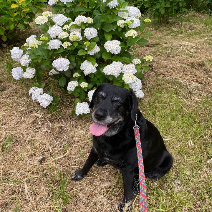 757acae3 072e 4838 bfce c348ae16a5f4 1622533232927