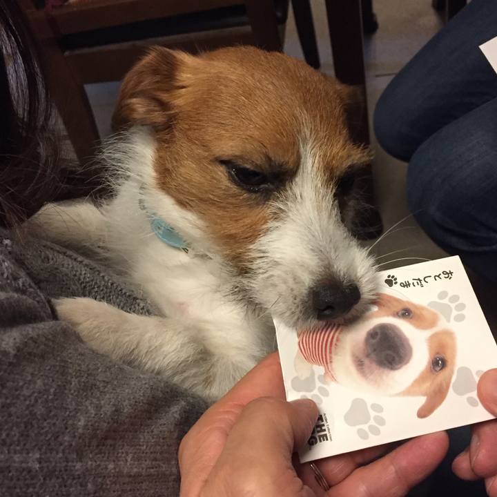 757acc3e 795c 4387 8651 ecff1cf4a378 1514810266667