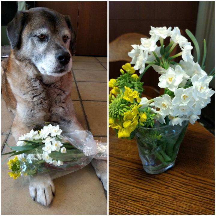 757b18d6 6366 45fc 886a 43a48db16092 1553298318769