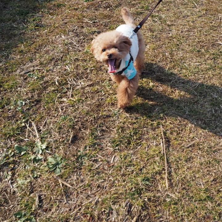 757b4d67 9018 42ec 89ef 7ad0c9c62b4d 1516517668399