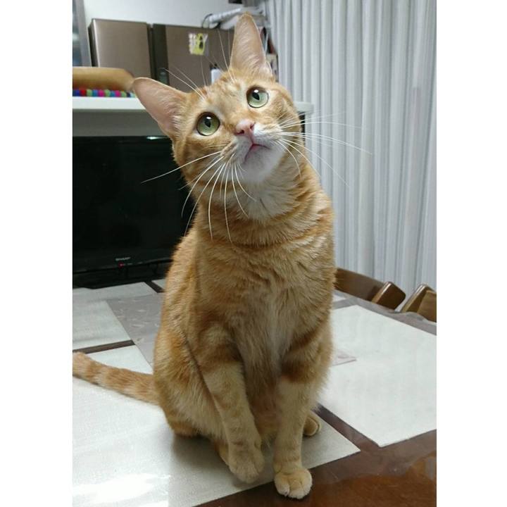 757b6a29 a113 4296 8dbf 672306a27144 1640823793326