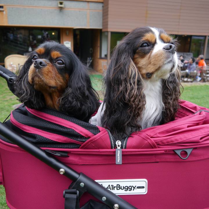 757b8dfe 1fd5 4b26 8f9d 4d42686ae5f5 1511185400062