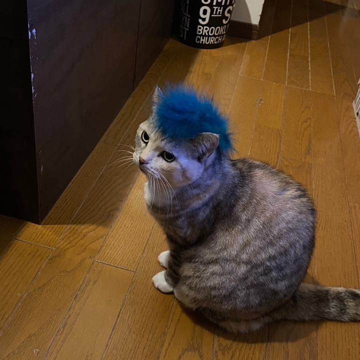 757b8ece 1bec 4635 a657 512f4e958ba2 1713772113184