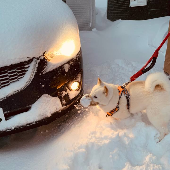 757bb75e baec 4d6b b72a ccdf858d3beb 1674513035082